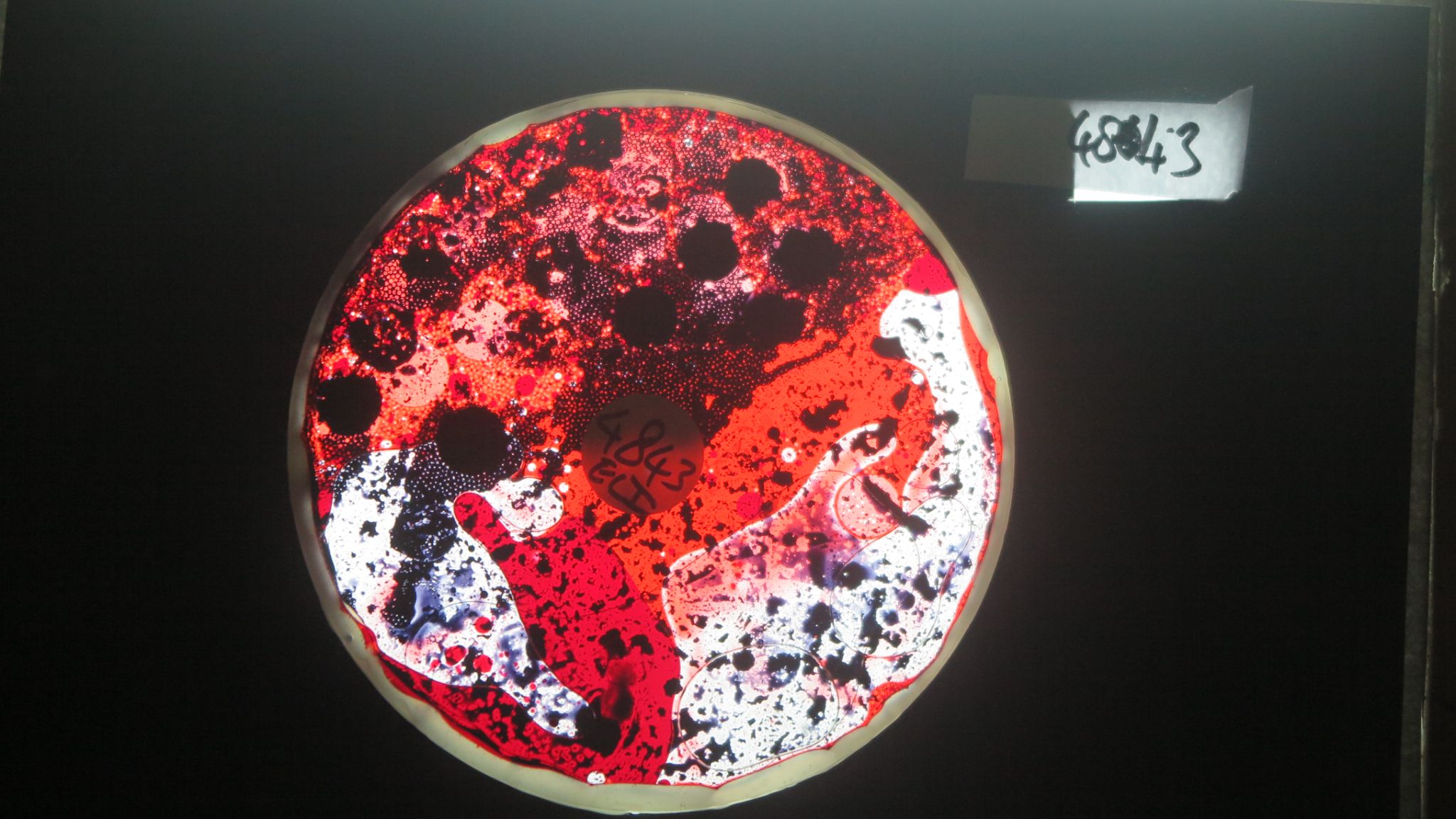 BV4843 bubble vision oil wheel